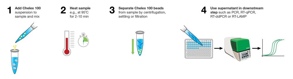 Chelex 100-based sample preparation workflow overview.