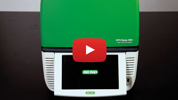 Video demonstration showing the ease of installation of the CFX Opus Real-Time PCR Instrument