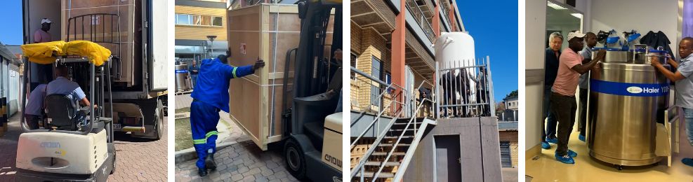 liquid-nitrogen-storage-sanbs-lasec-delivery-and-installation
