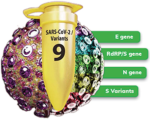 Allplex™ SARS-CoV-2 Master Assay