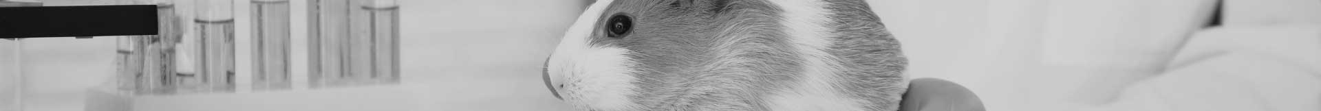 Animal Sciences