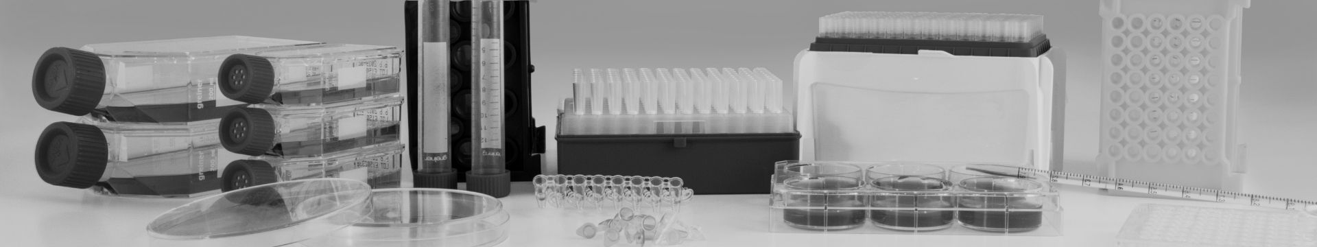 Tissue Culture Flasks