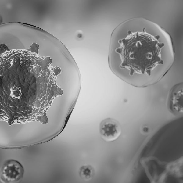 Cell Biology