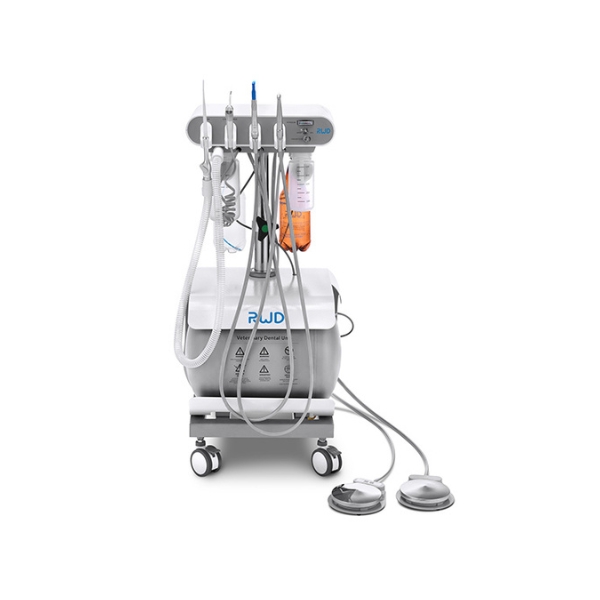 Dental Solutions