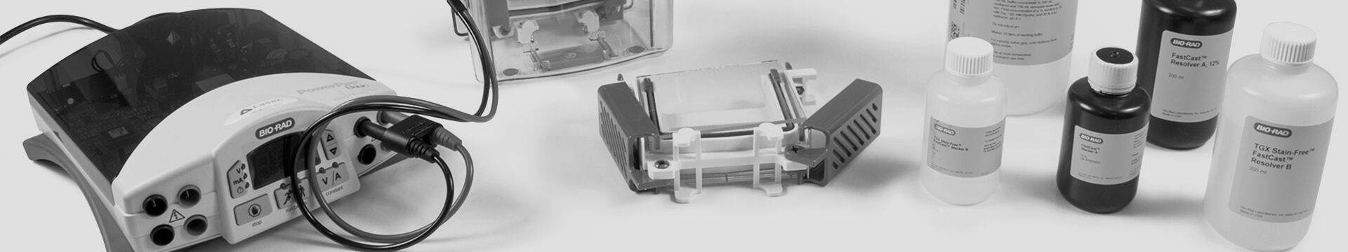 Nucleic Acid Electrophoresis