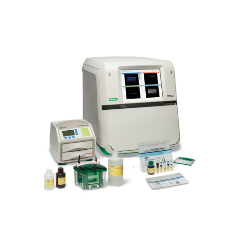 Electrophoresis and Blotting