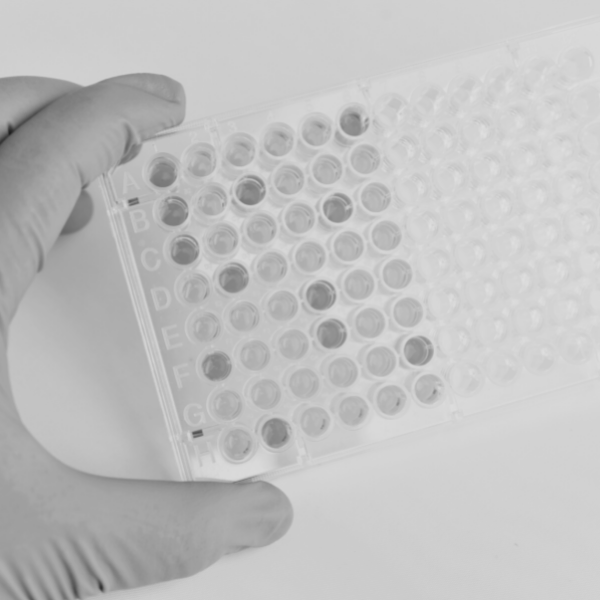 Immunoassays