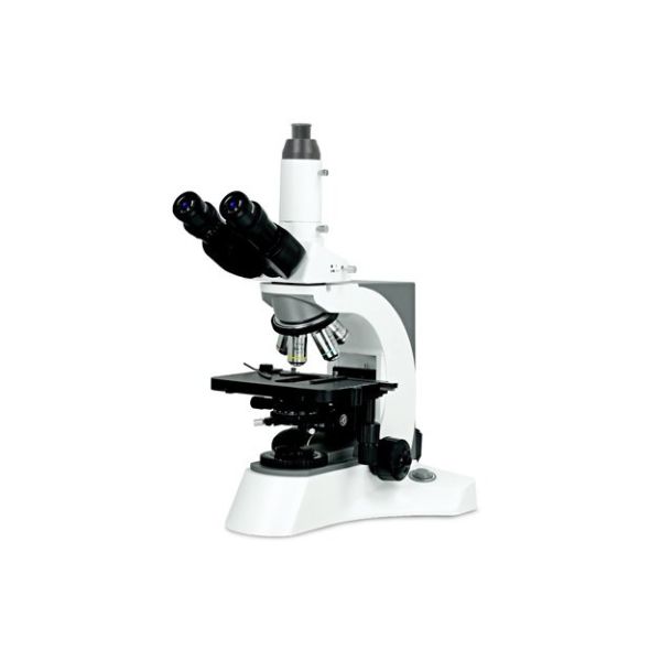 Microscopes