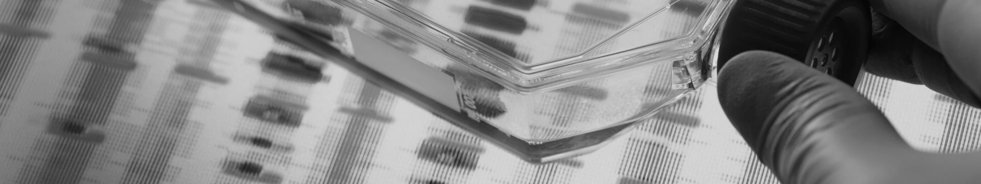 Molecular Quality Controls