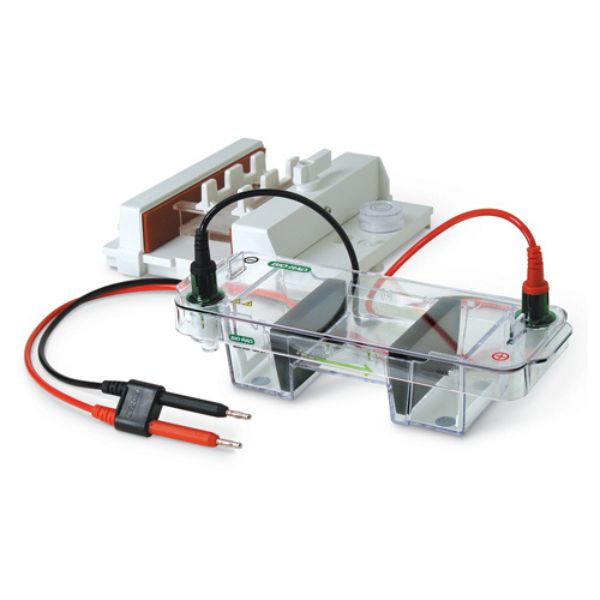 Nucleic Acid Electrophoresis