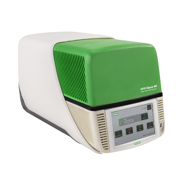 Real-Time PCR