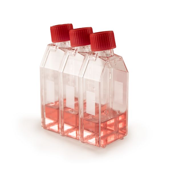 Tissue Culture Flasks