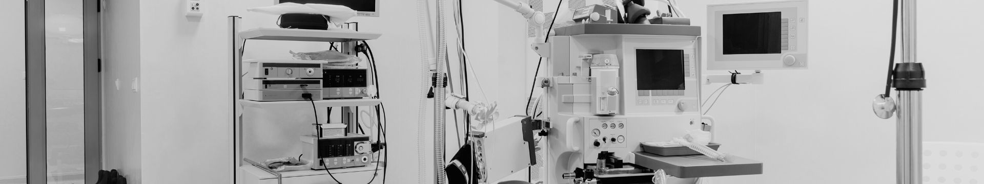 Veterinary Surgery