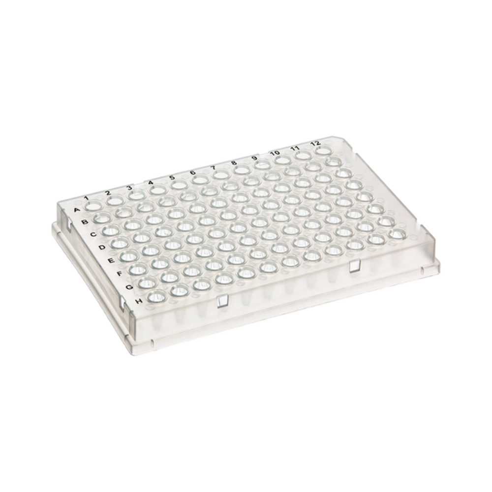 Clear 96-well low-profile PCR plate with Bio-Rad compatibility, ideal for efficient thermal cycling and molecular analysis.