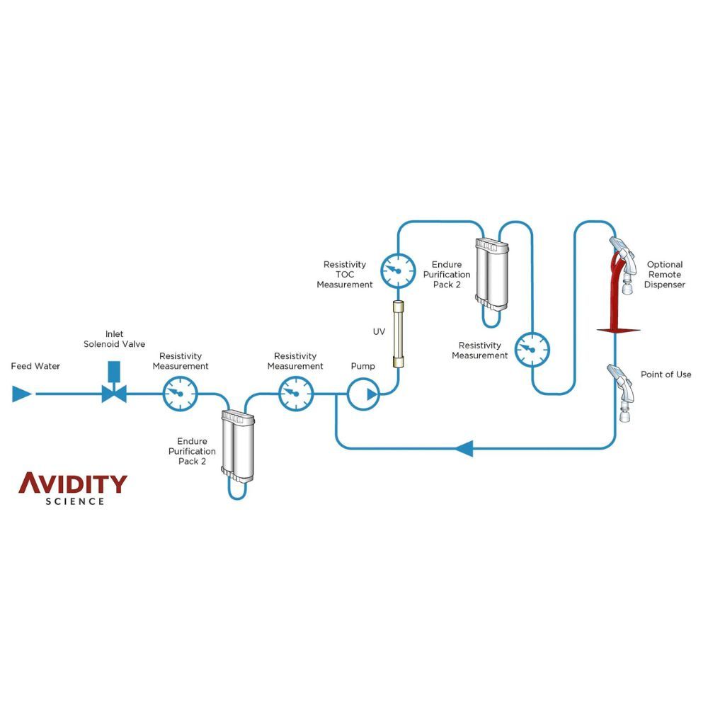 Flowchart diagram from Avidity Science outlining the process of water purification within the ALTO™ I Ultrapure Water Purification System. It shows the sequence of components such as resistivity measurement devices, purification packs, and a UV treatment 