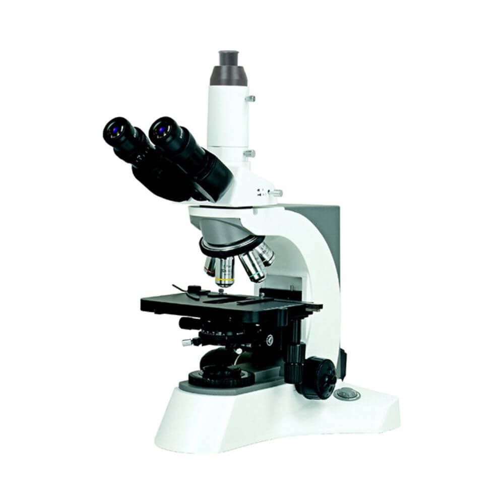 Laboratory Biological Microscope, BS-2080