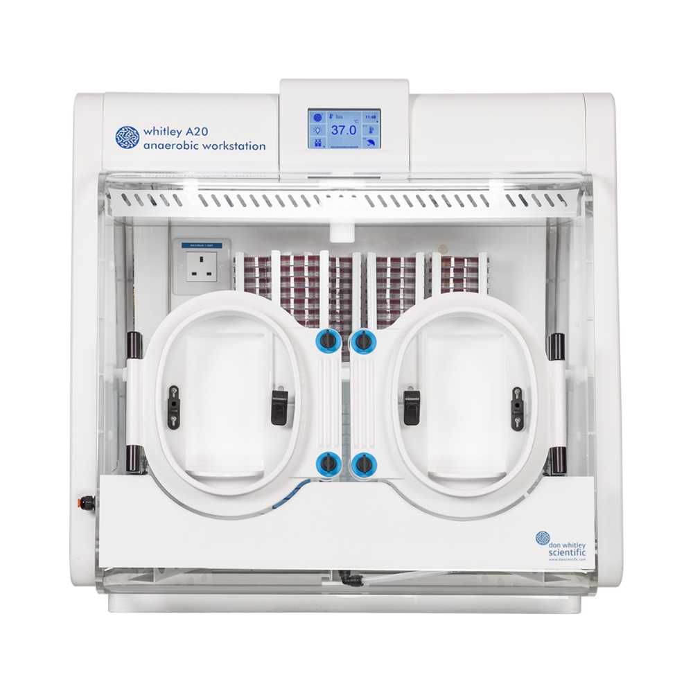 LASEC | Don Whitley Scientific Whitley A20 Anaerobic Workstation