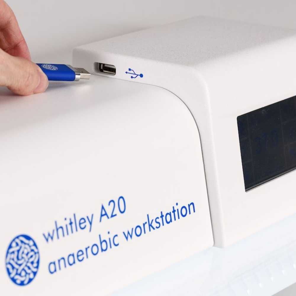 LASEC | Don Whitley Scientific Whitley A20 Anaerobic Workstation