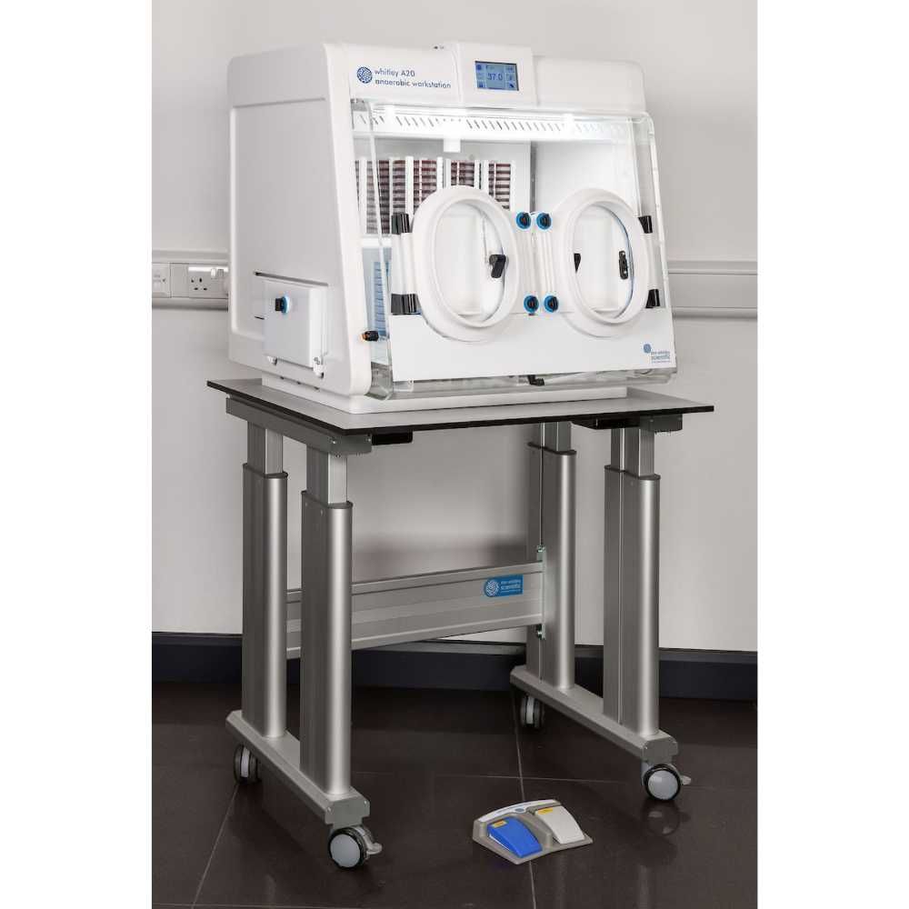 LASEC | Don Whitley Scientific Whitley A20 Anaerobic Workstation