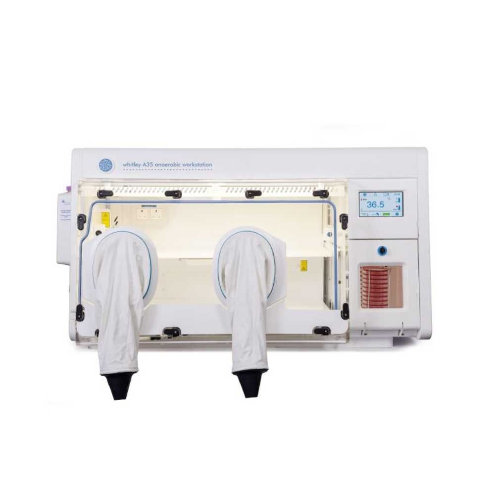 LASEC | Don Whitley Scientific Limited Whitley A35 Anaerobic Workstation