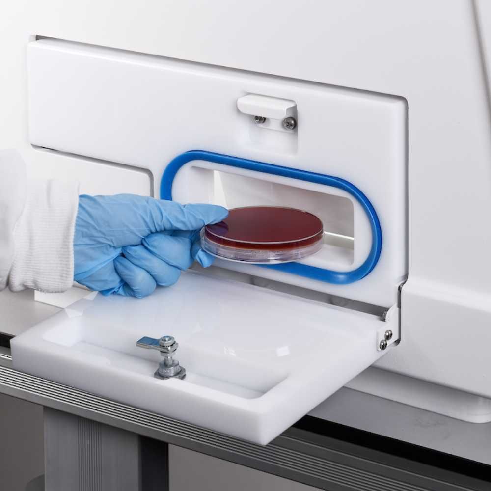 LASEC | Don Whitley Scientific Limited Whitley A35 Anaerobic Workstation