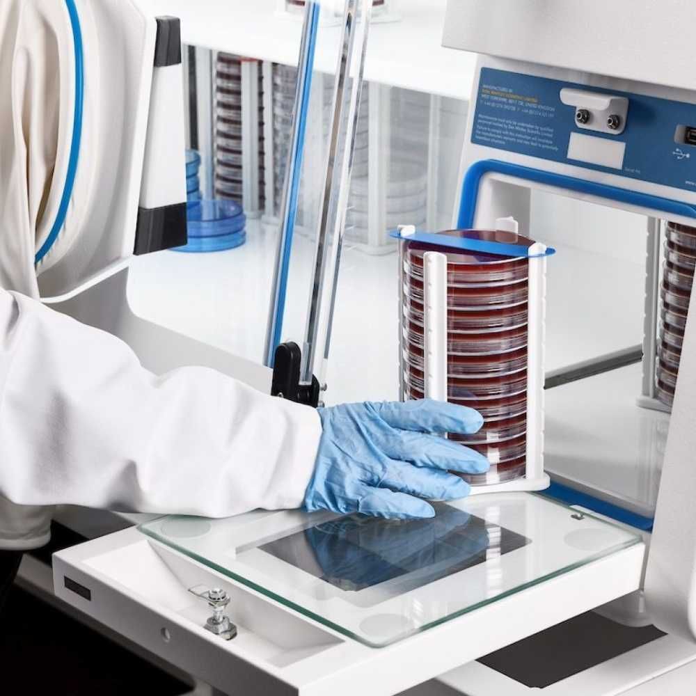 LASEC | Don Whitley Scientific Limited Whitley A35 Anaerobic Workstation