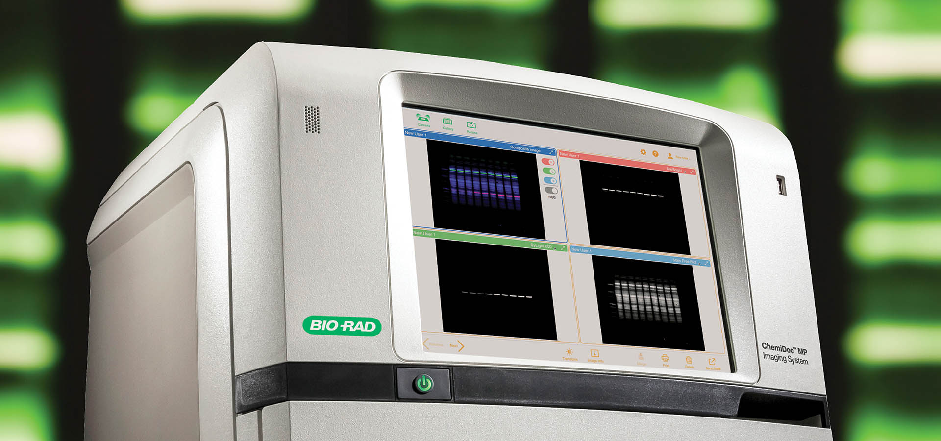 Change the Way You Western Blot - Visualize, Verify, Validate