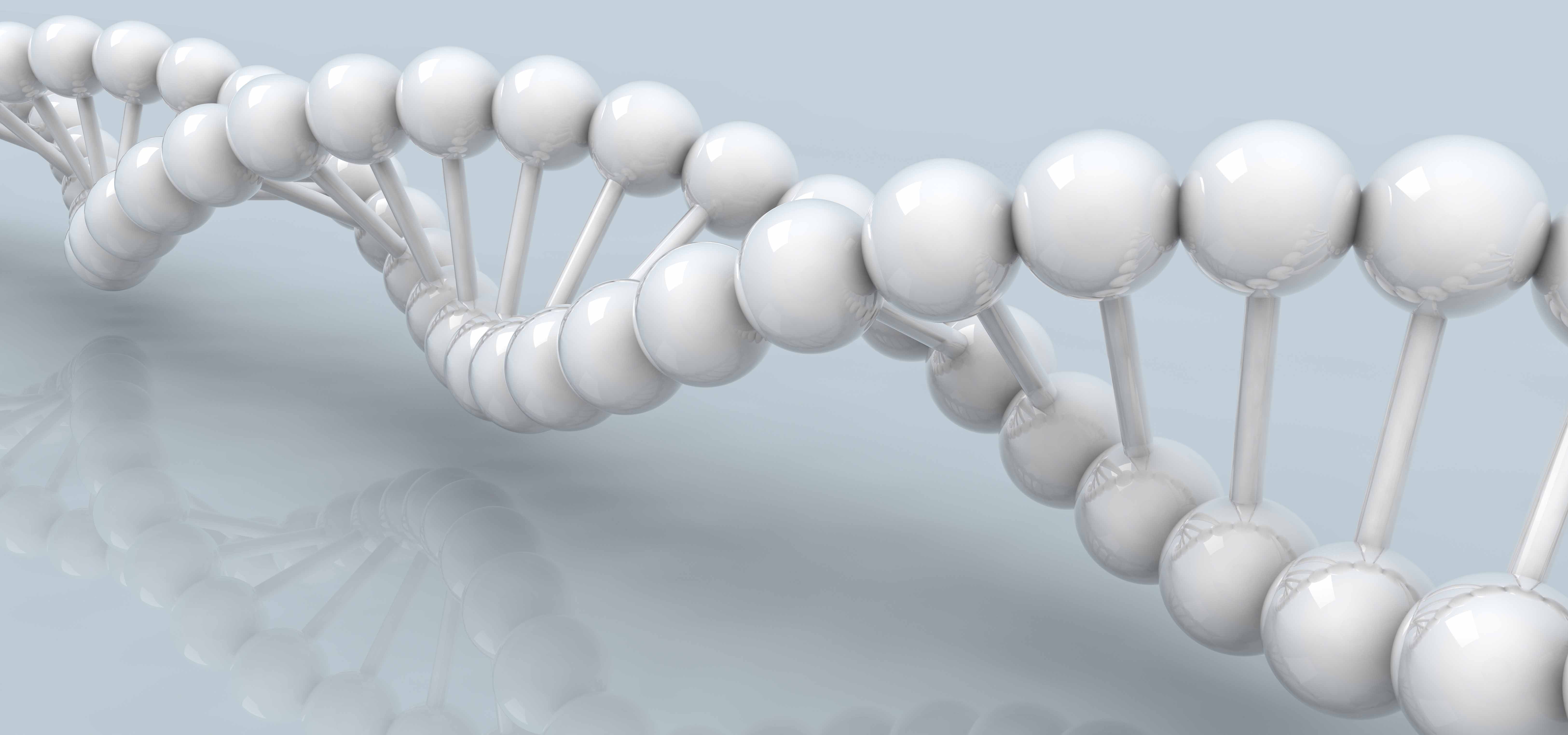 Ultimate Guide to RNA, DNA, and Protein Purification: Efficient Techniques for Researchers