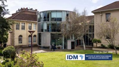 University of Cape Town’s IDM Becomes Africa’s First My Green Lab-Certified Academic Research Institute