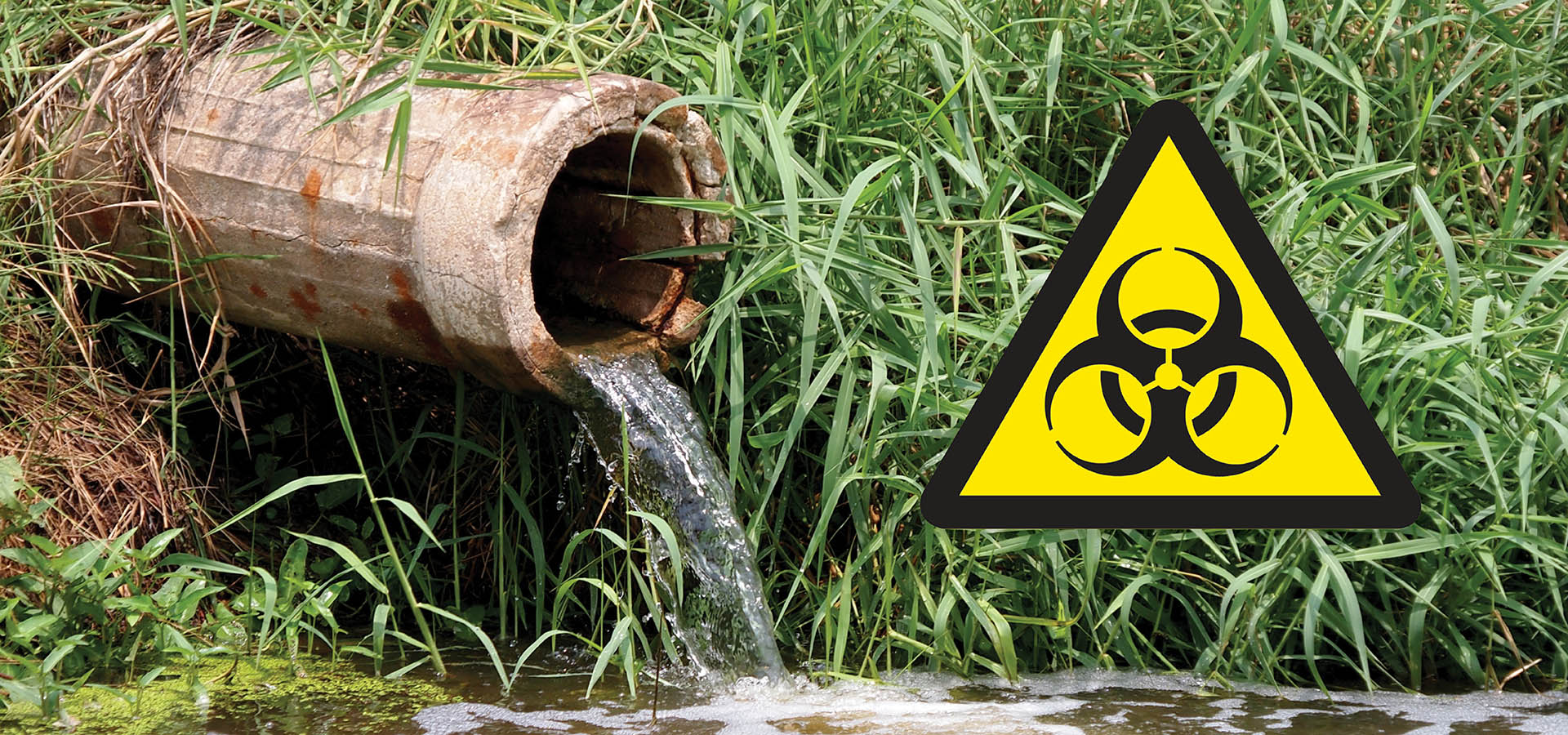 Is Your Wastewater Harming the Environment?