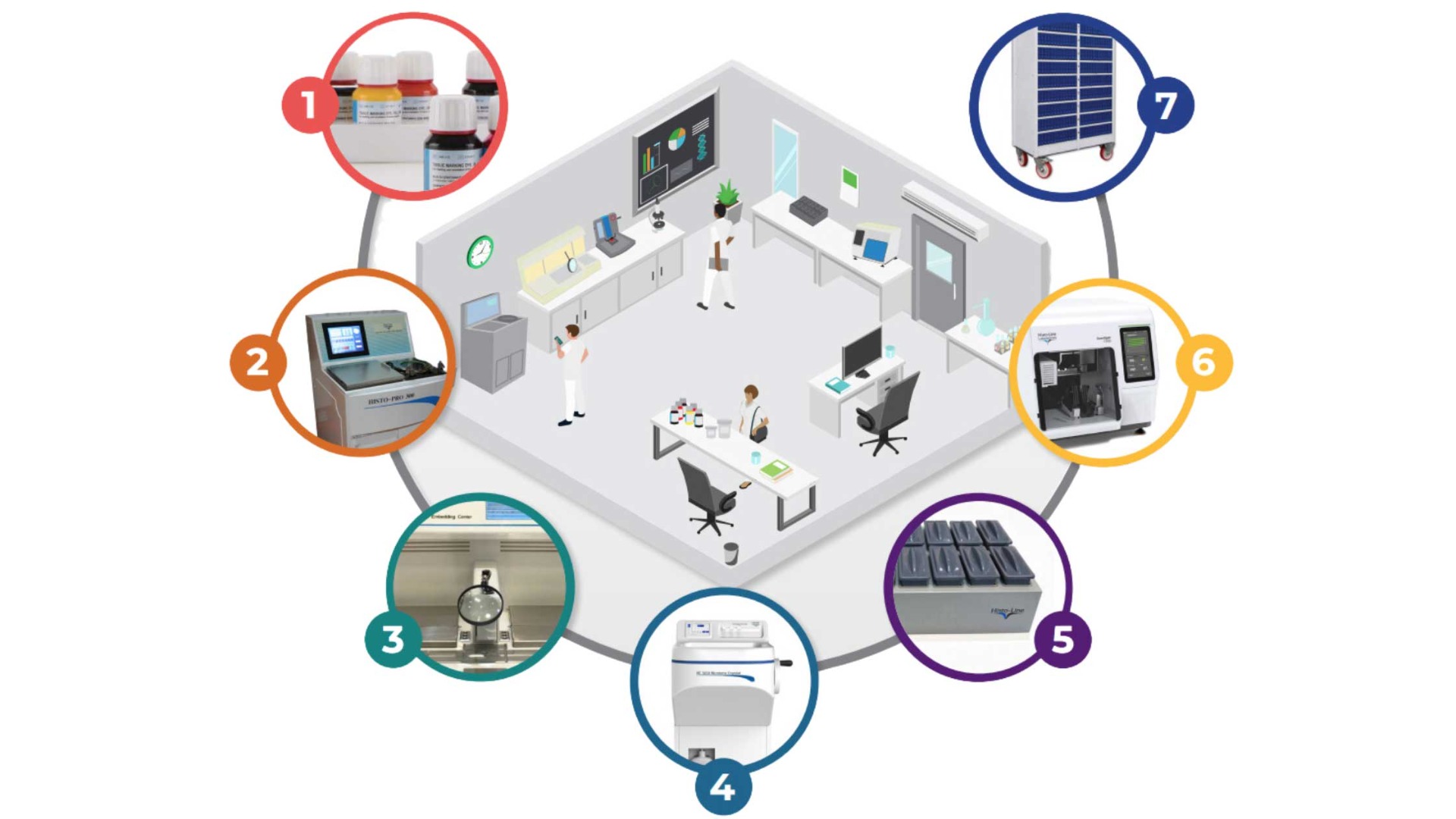 Download Lasec's Histology Workflow Guide