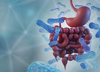3D illustration of human digestive system with gut microbiome bacteria surrounding the intestines.