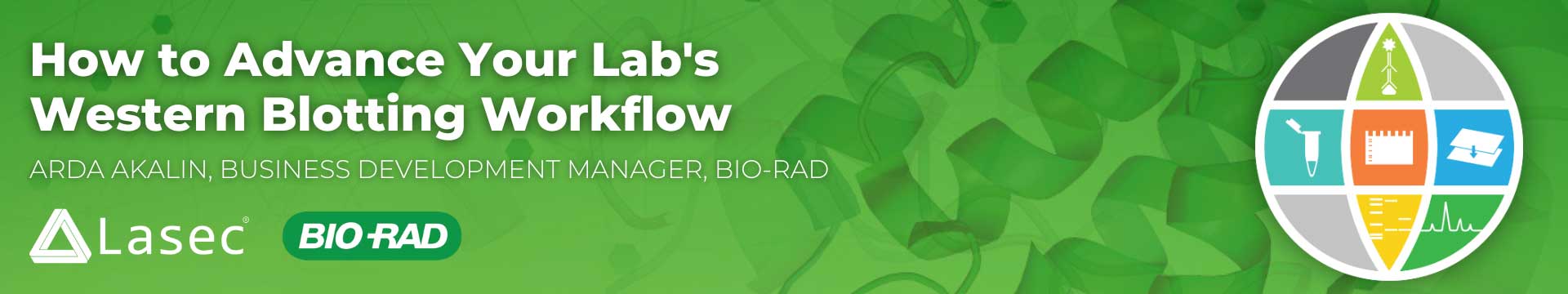 Bio-Rad-Webinar-Introduction-to-Western-Blotting-and-Stain-Free-Technology